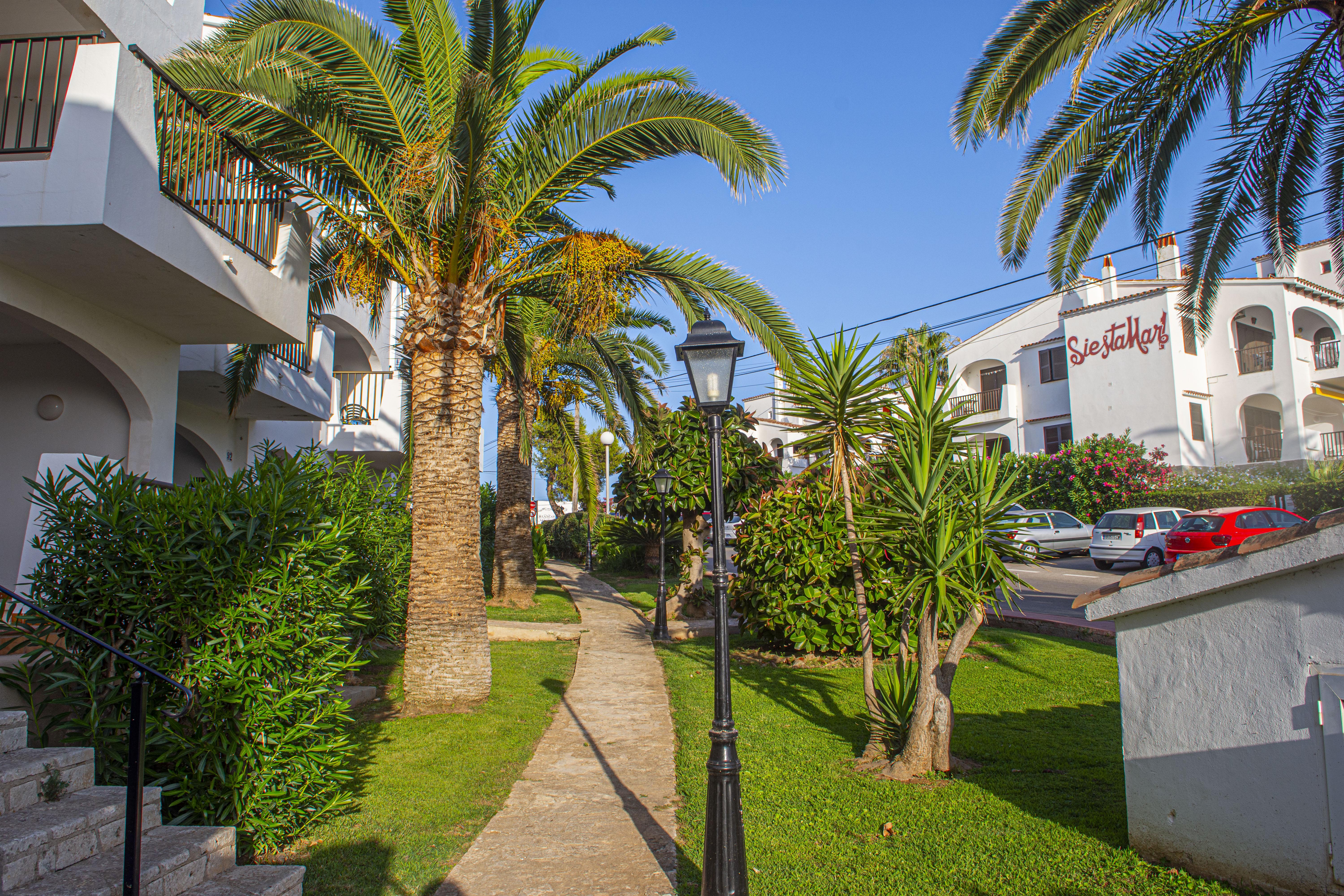 Siesta Mar 2*